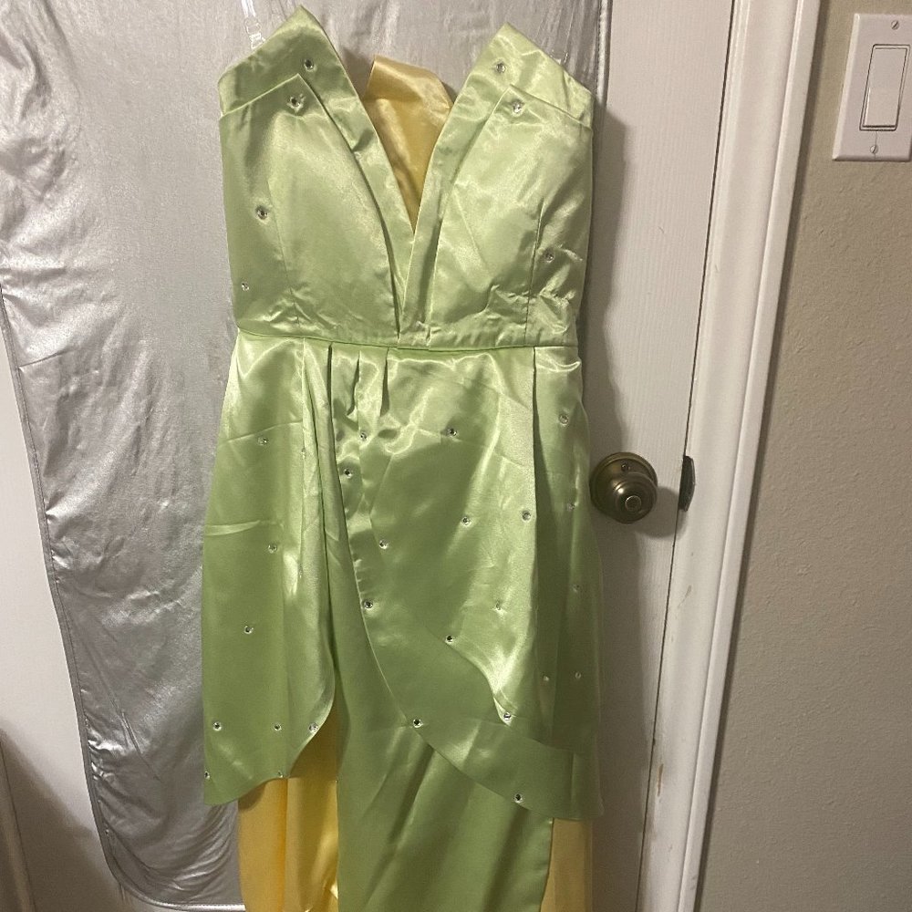 Tiana Costume Dress - Adult Small